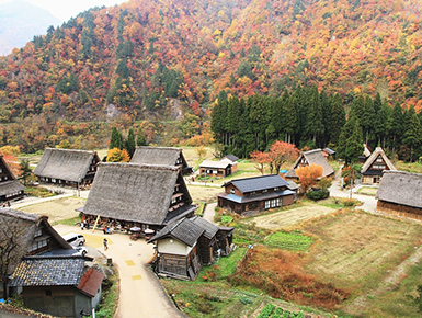 秋の五箇山