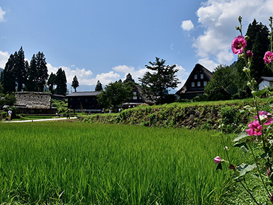 夏の五箇山